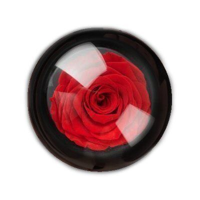 Музыкальная шкатулка Xiaomi Rose Music Box : отзывы и обзоры 