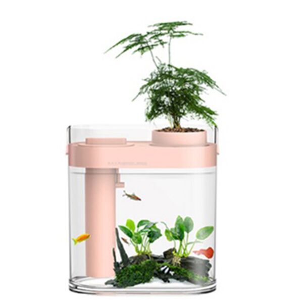 Акваферма с увлажнителем Geometry Lucky amphibious fish tank YOUTH (Pink) : отзывы и обзоры - 1