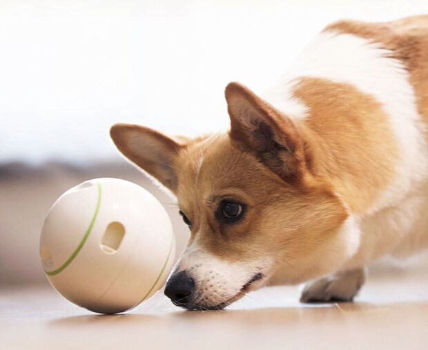 Интерактивная игрушка Petgeek Automatic Ball Pet Toys Rolling (White) : отзывы и обзоры - 5