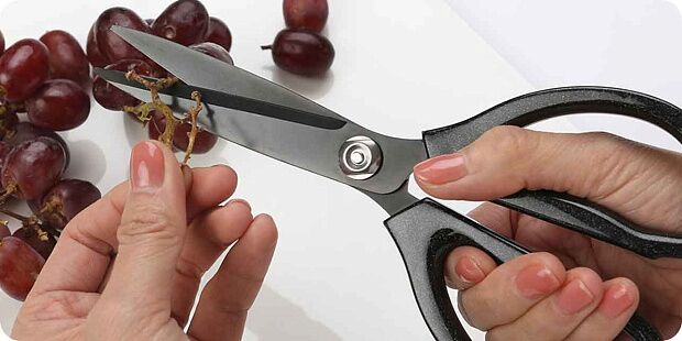 Кухонные ножницы HuoHou Hot Kitchen Scissors HU0025 (Black/Черный) : характеристики и инструкции - 9