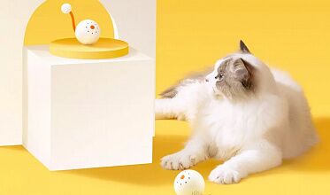 Компания Xiaomi планирует выпустить мяч-компаньон для кошек Smart Pet Companion Ball - фото Компания Xiaomi планирует выпустить мяч-компаньон для кошек Smart Pet Companion Ball - фото