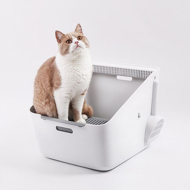 Малый темп индуктивный запах кошачий туалет : характеристики и инструкции - 3