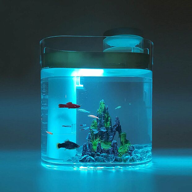 Акваферма с увлажнителем Geometry Lucky amphibious fish tank YOUTH (Pink) : отзывы и обзоры - 5