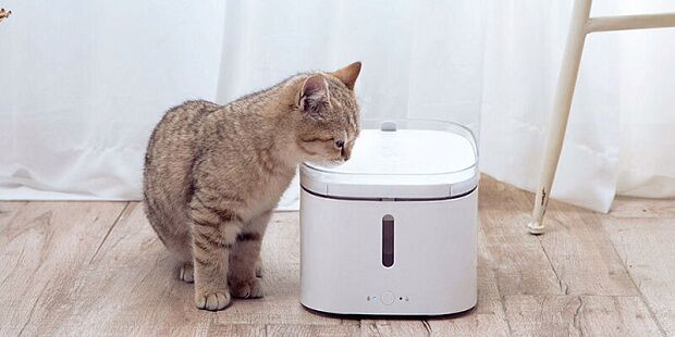 Умная поилка для животных Mijia Smart Pet Water Dispenser XWWF01MG (White) - 5