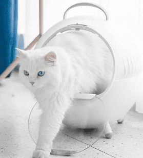Сумка для кошек Furrytail Tail Life Cat's Moving Castle Cat Bag (White/Белый) : отзывы и обзоры - 7