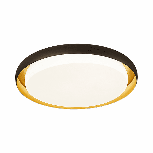 Потолочная лампа Huizuo Pisces Smart Ceiling Lamp 18W (Black/Черный) - 1